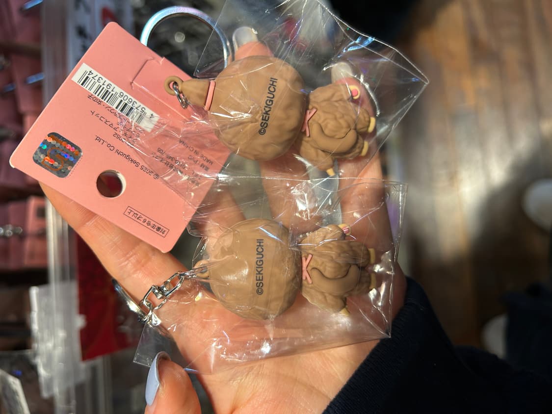 (3/6마감) 신상 몬치치 피규어 키링 브라운 오리지날 몬치치 상품이미지2