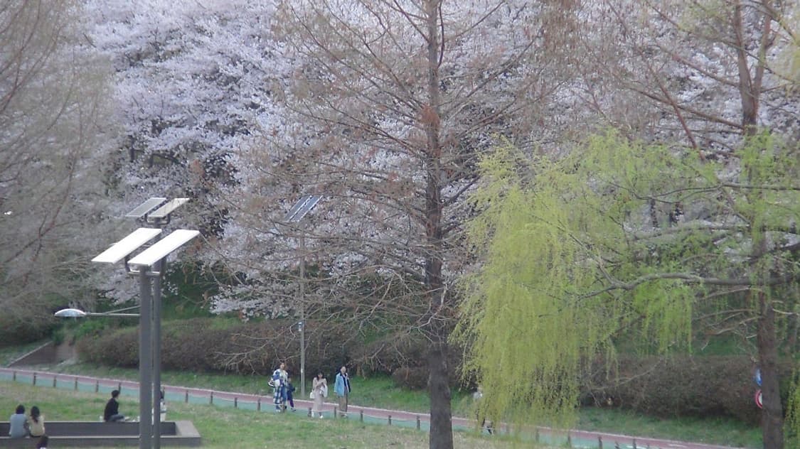 풀구성 SONY HDR-CX590V 소니캠코더 소니 빈티지캠코더 디카 상품이미지9