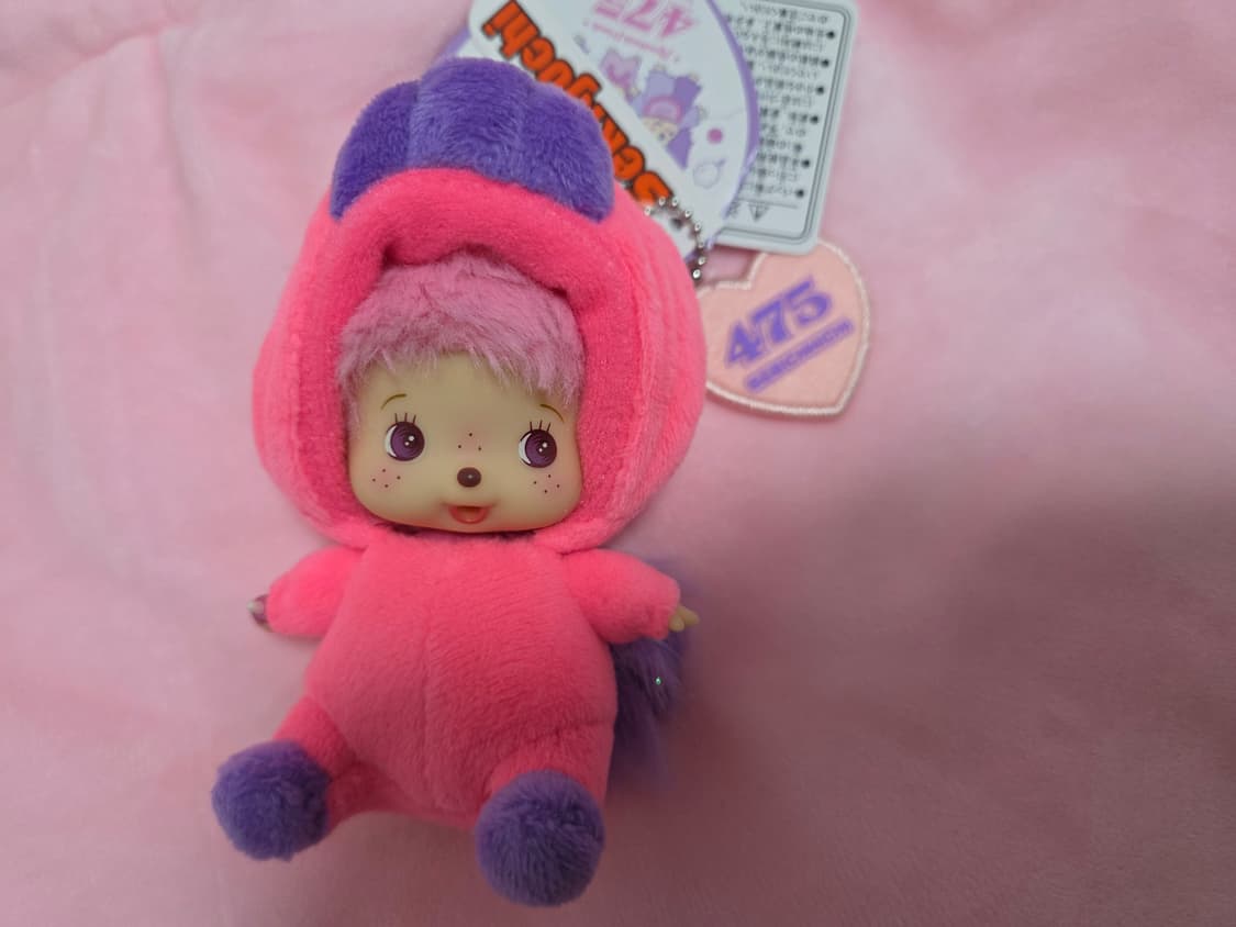 시나코 베비치치 상품이미지1