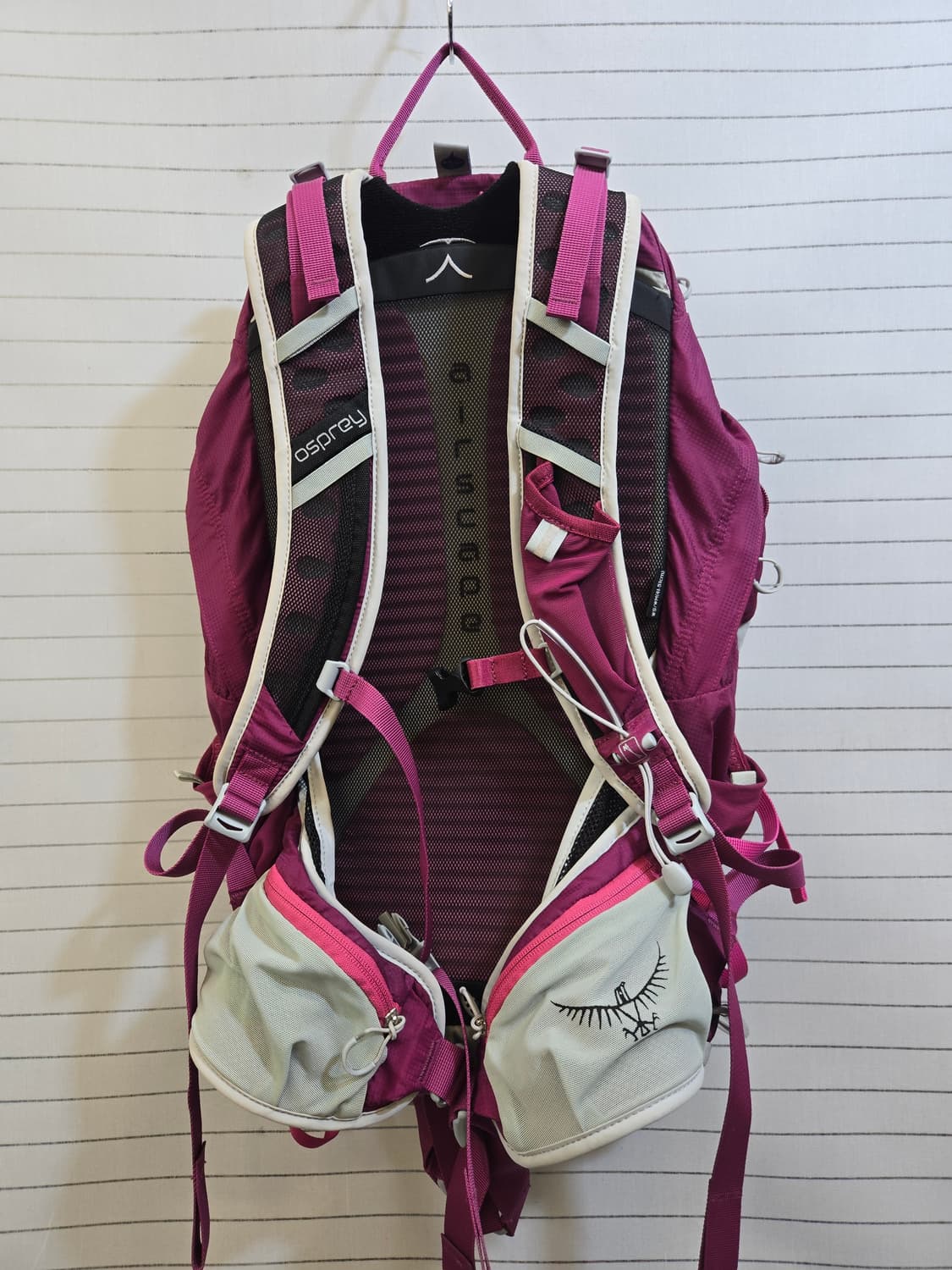 오스프리 Tempest 20 등산 배낭 퍼플 상품이미지4