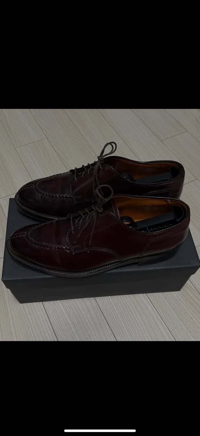 알든 2210 8D 상품이미지2