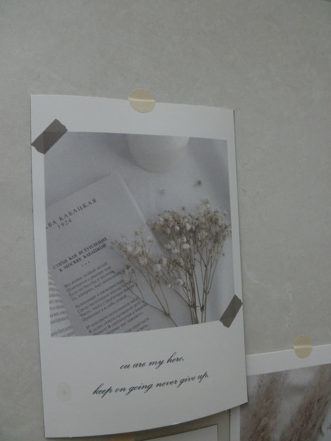 olympus u-7020 올림푸스 뮤 7020 (레드) 상품이미지3