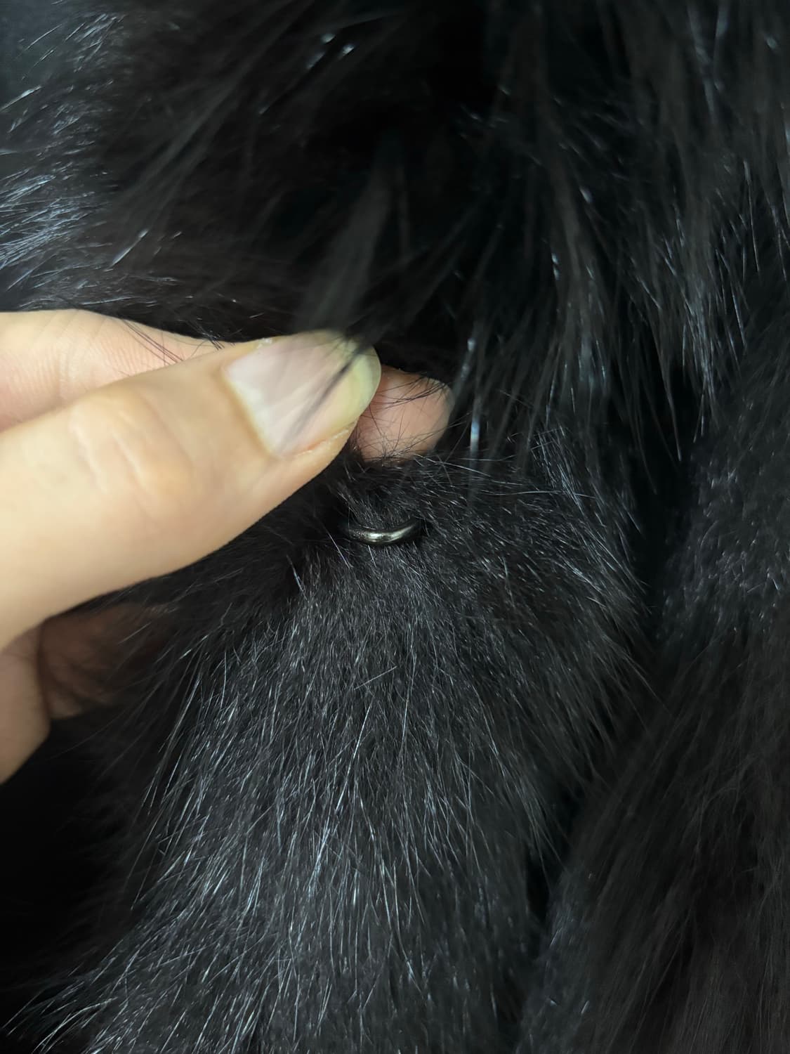 사가폭스 블랙 폭스퍼 자켓 상품이미지8