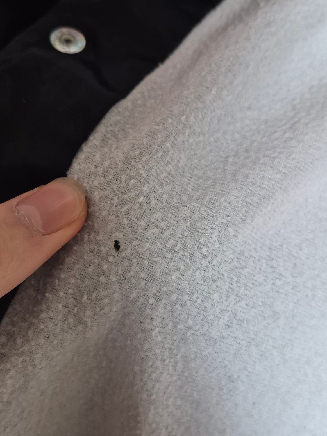 스투시 봄버자켓 상품이미지5