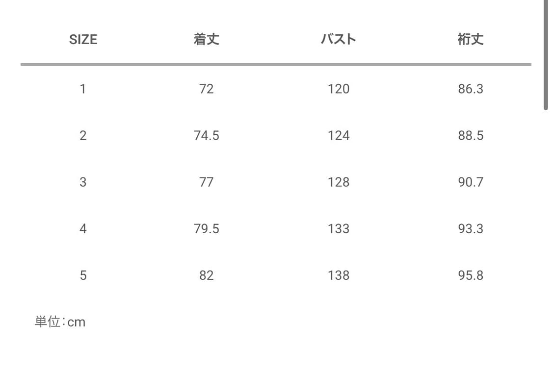 visvim 26ss coach jkt 상품이미지3