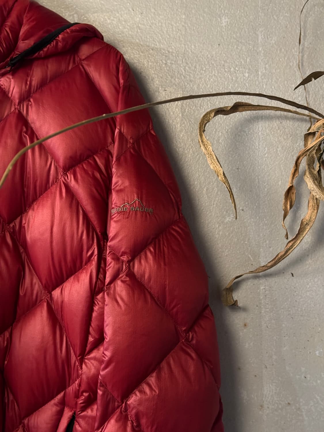 L- XL ) EDDIE BAUER ( EB900 ) 상품이미지3