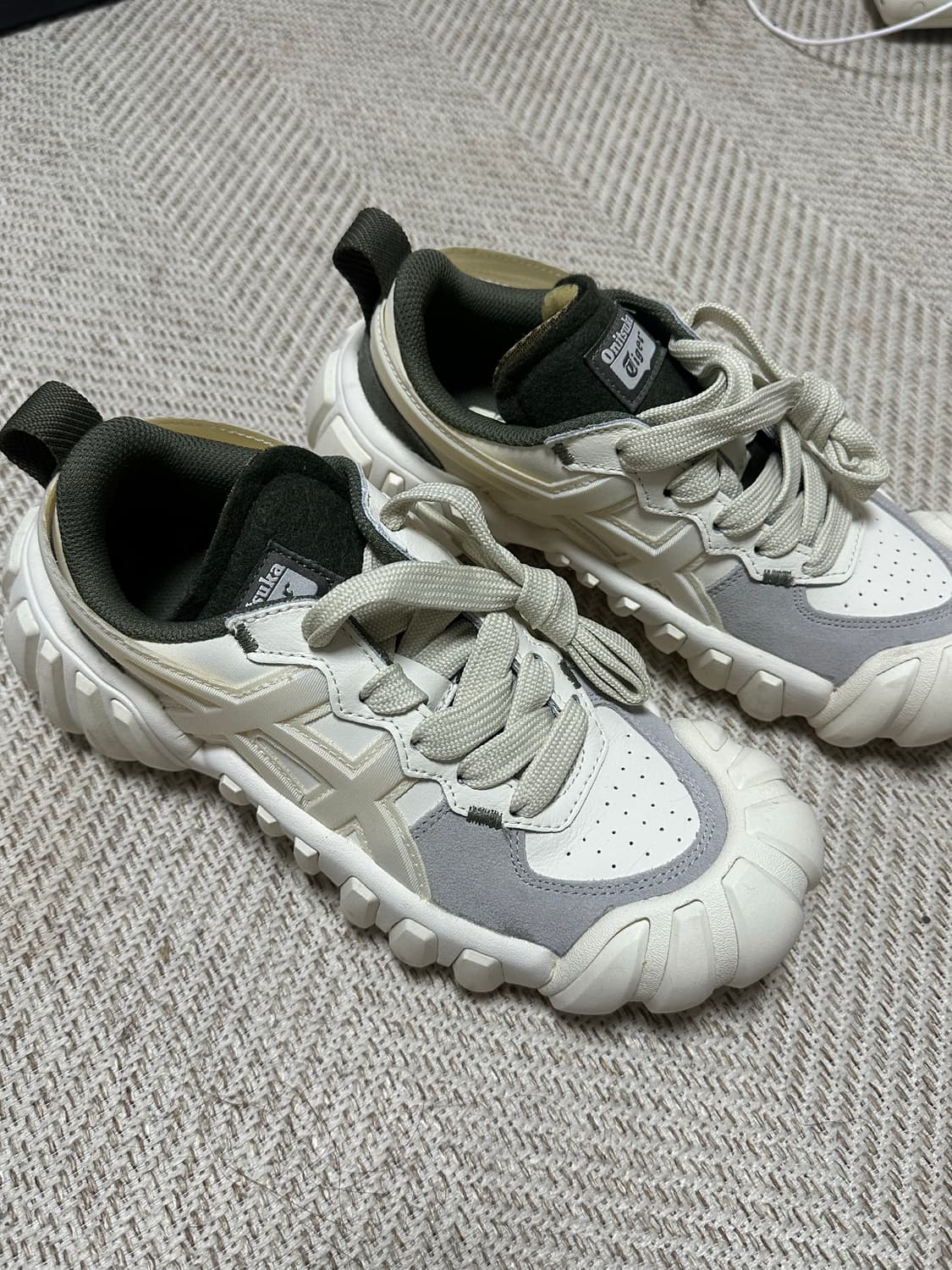 덴티그레 LS 1183B421_101 상품이미지5