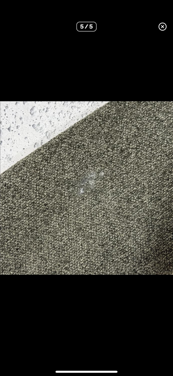  (바배) 폴햄 니트 맨투맨 상품이미지5