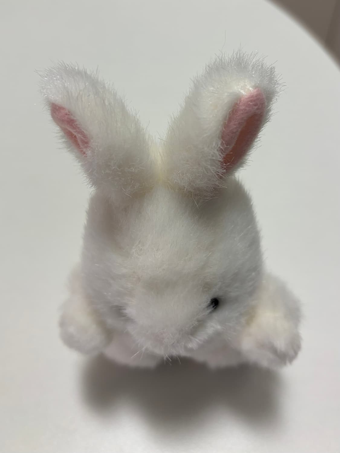 TAKENOKO JOYFUL MATES 조이풀메이트 토끼 인형 상품이미지7