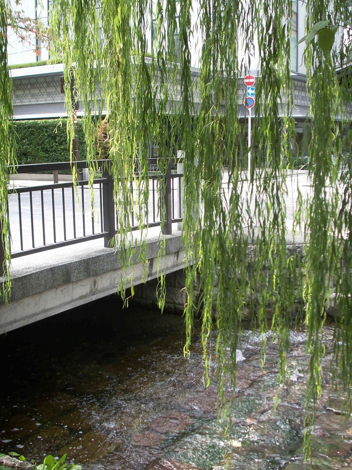 코니카 미놀타 디이미지 x1 (작례o) 상품이미지7