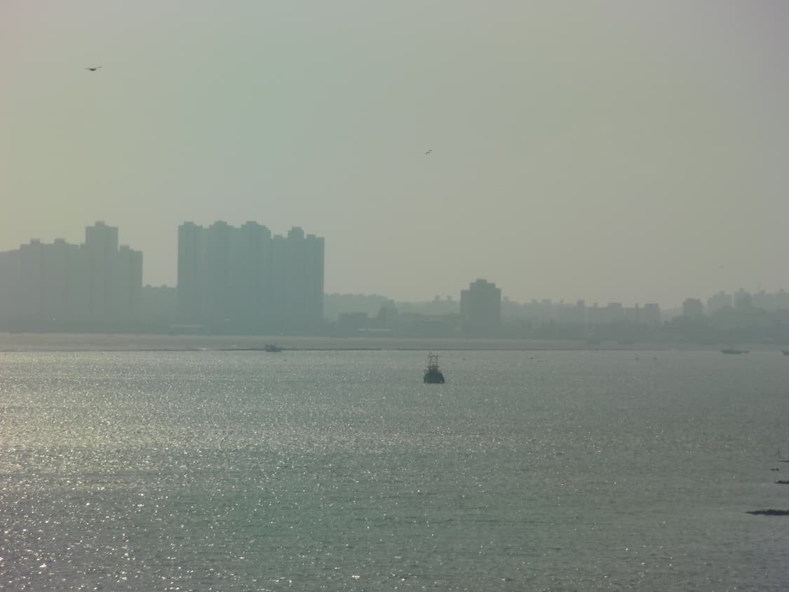 작례_ 산요 Sanyo xacti CG21 상품이미지9