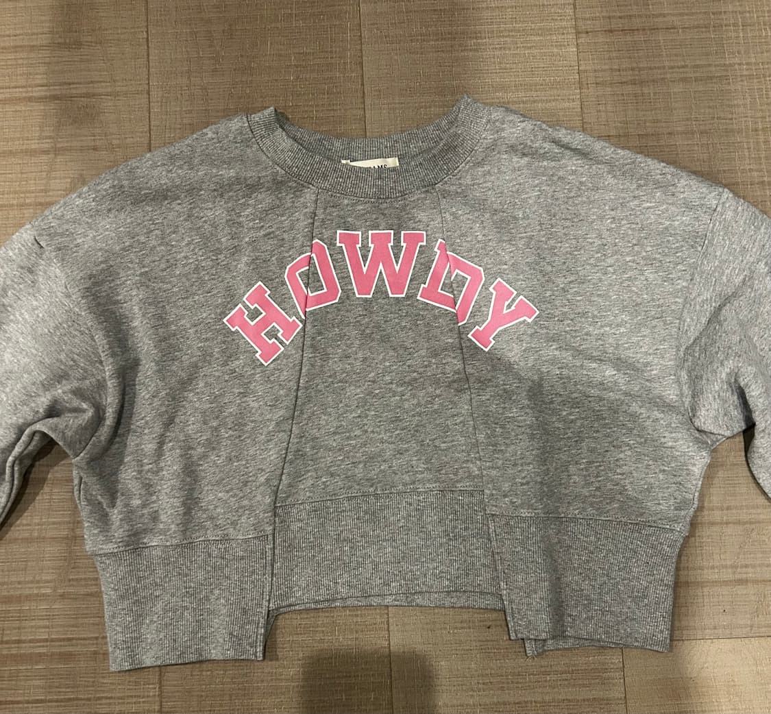 레이빔스 raybeams 크롭 맨투맨 상품이미지1