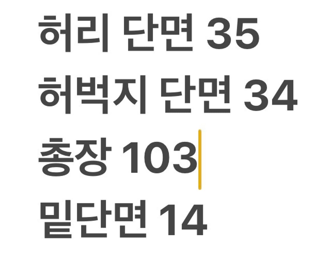 [정품/80] 노스페이스 블랙 구스다운 바지 b8 상품이미지7