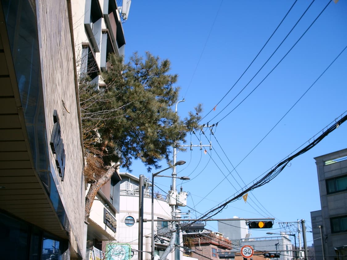 풀박/신품급/Xd카드1gb/)후지필름 Q1 디지털 빈티지디카 상품이미지8