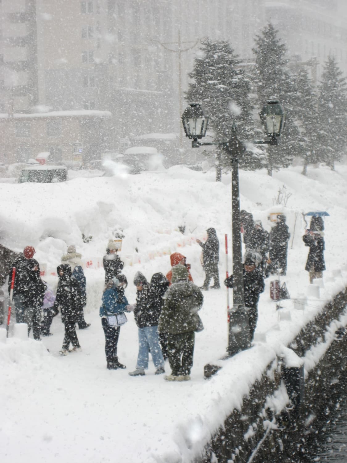 초희귀&강추!) Canon IXY 70 ( IXUS 60 ) 디카  상품이미지5