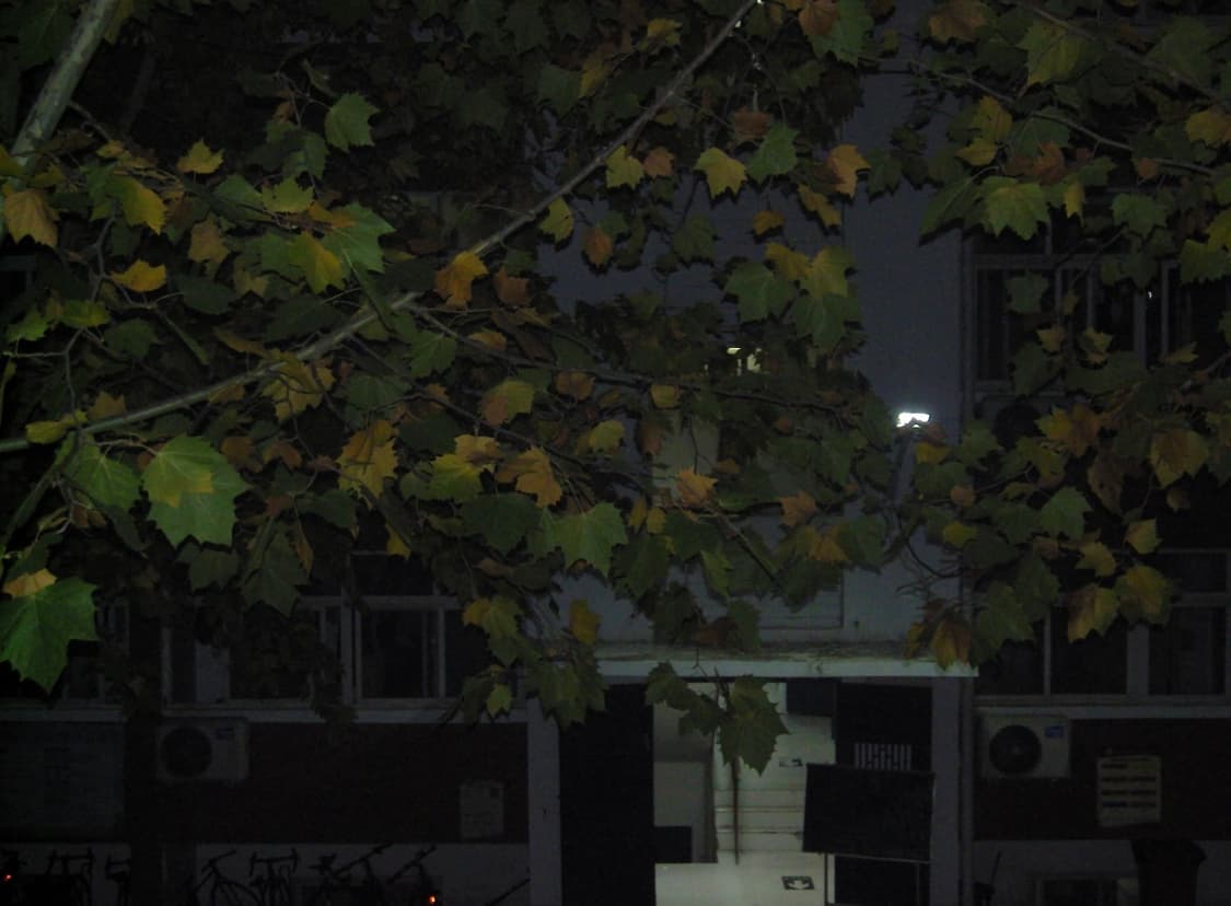 (슈나이더 렌즈) 삼성 VLUU NV20 🖤 상품이미지4