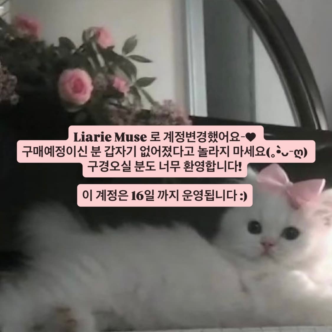 Liarie Muse로 놀러오세요🌹 상품이미지1