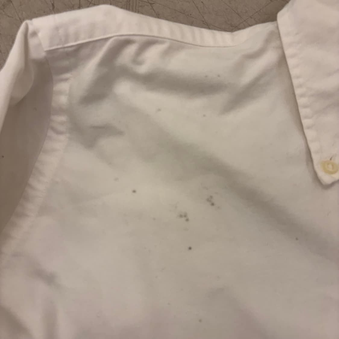 폴로 랄프로렌 포니 화이트 셔츠 상품이미지6