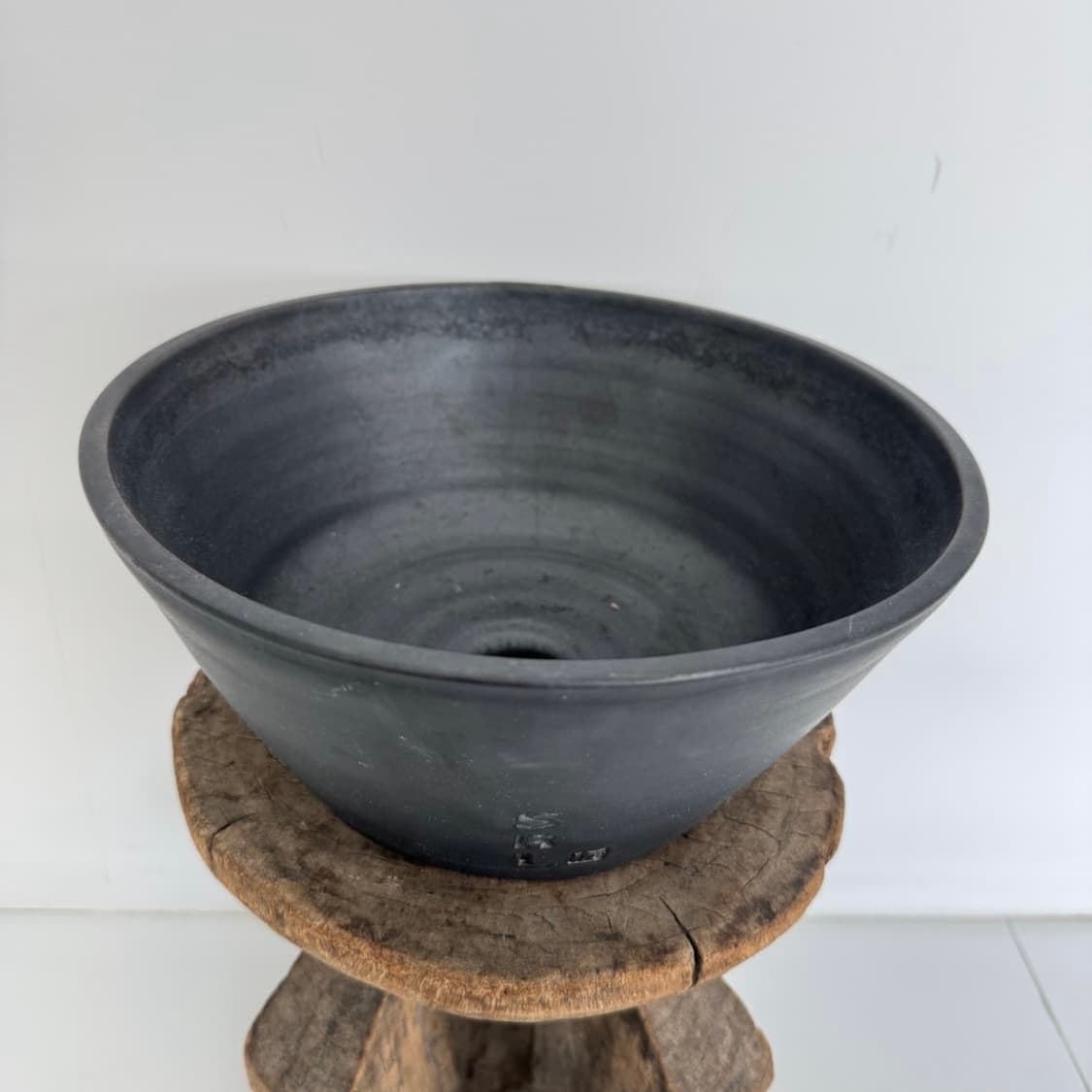 🇯🇵 네이버후드 SRL 코덱스 괴근 아프리카 식물 화분 상품이미지4