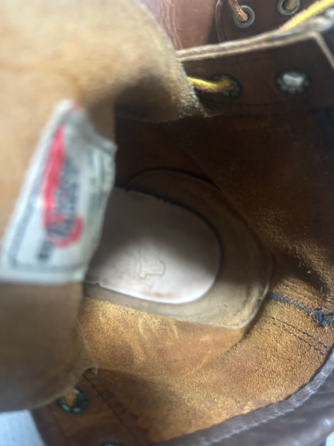 레드윙 목토 8876 카퍼 러프앤터프 8.5 사이즈 상품이미지8