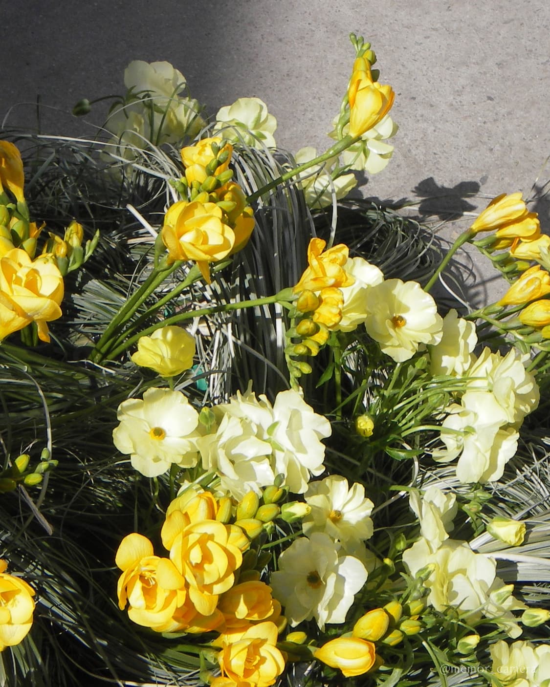 방수 기능🌊PENTAX OPTIO WP 펜탁스 디카 카메라 상품이미지10