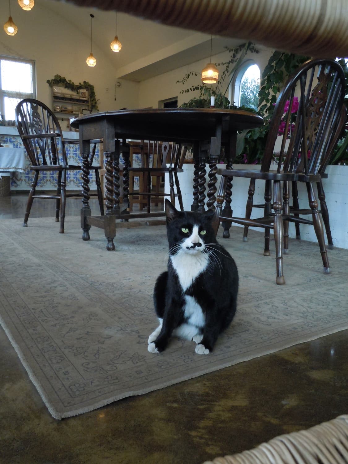 Nikon 니콘 쿨픽스s6000 블랙 상품이미지9