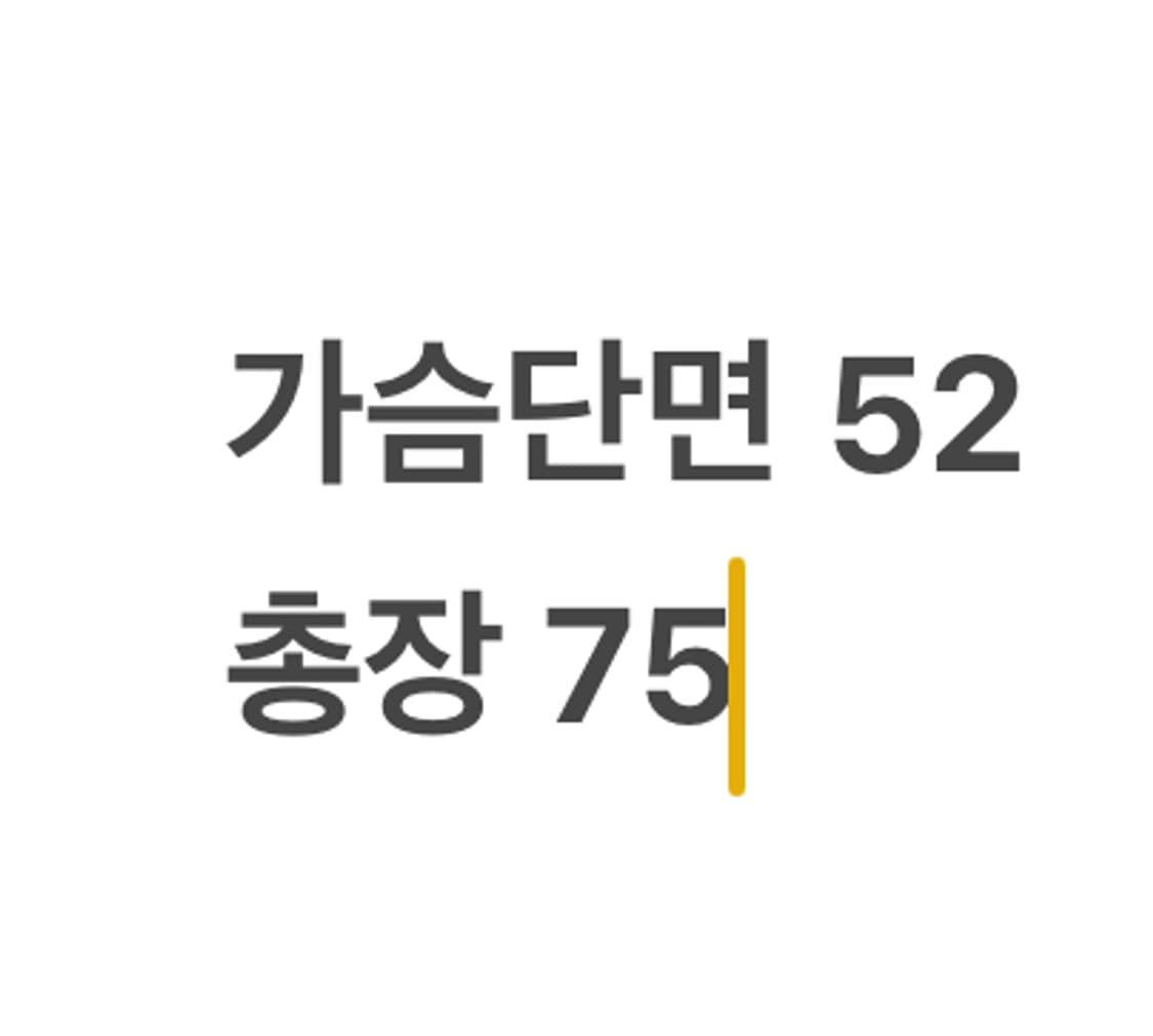 [정품] 폴로 랄프로렌 깅엄 체크 셔츠 b14 상품이미지7