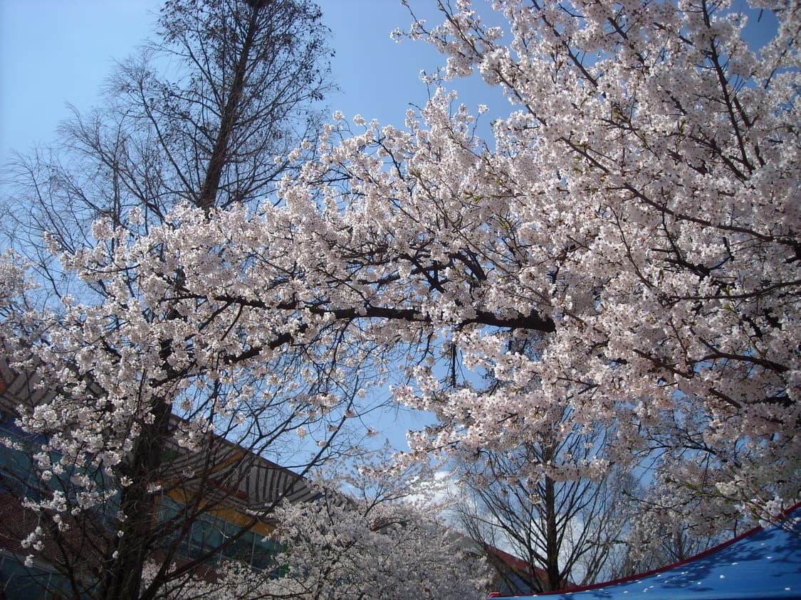 후지필름 파인픽스 finepix z10 디카 (빈티지 카메라) 상품이미지8