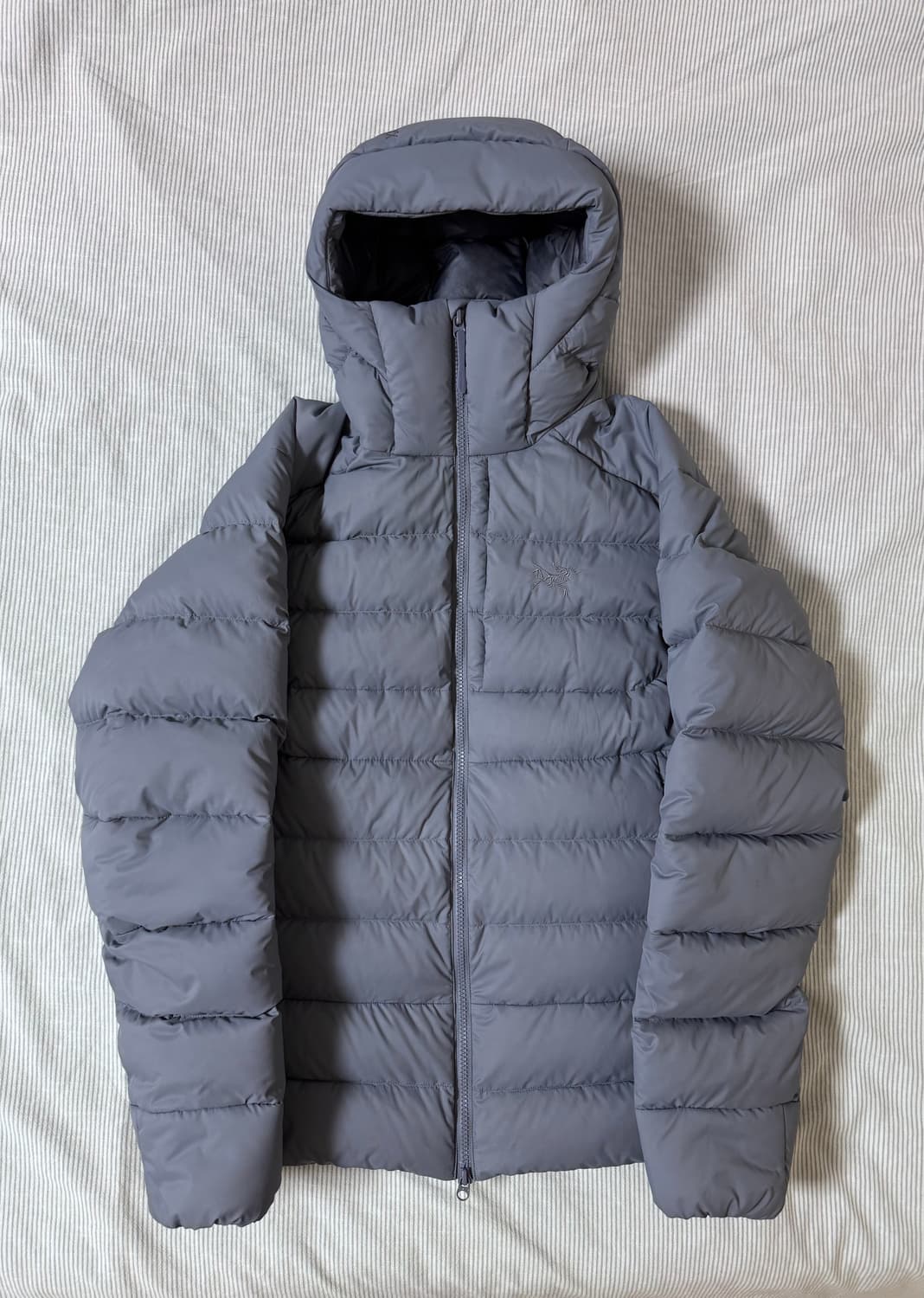 아크테릭스 토륨 후디 스트라터스 상품이미지3