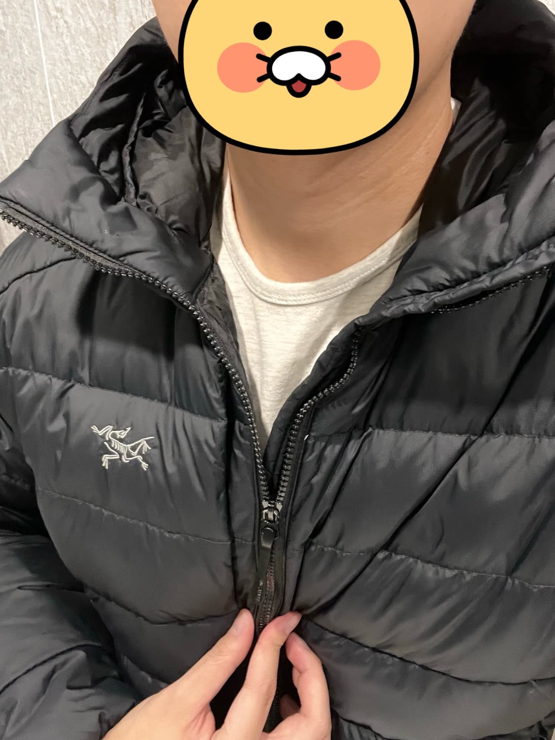 [교환가능/XL] 아크테릭스 토륨 후디 블랙 XL (넬슨스포츠) 상품이미지4