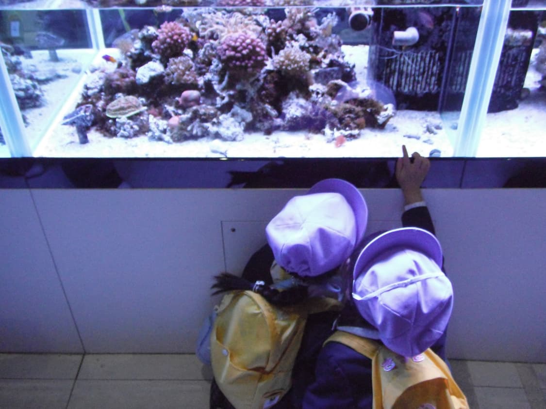 작례o)후지필름 파인픽스z80 핑크 Fujifilm Finepix z80 상품이미지9