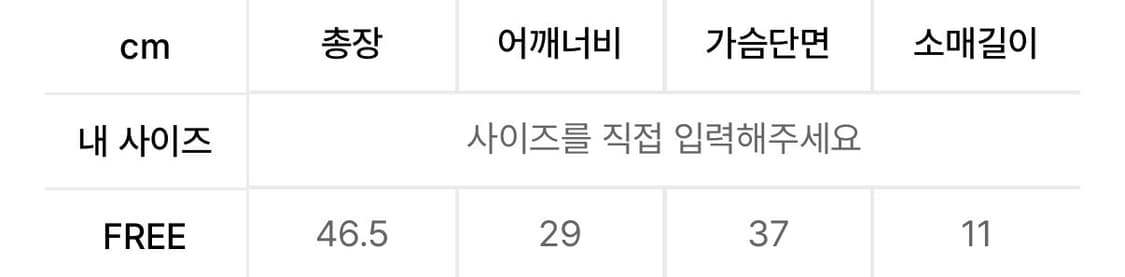 에즈이프캘리 CORSET MESH T-SHIRT BLACK 상품이미지4