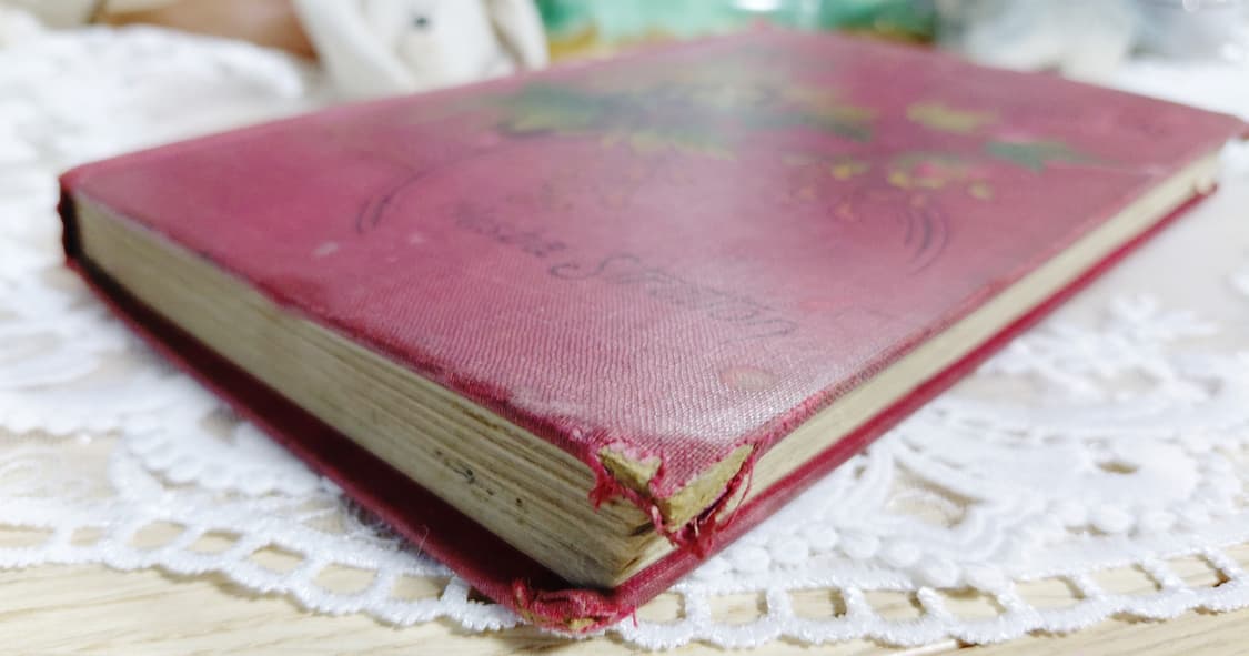 Antique) 1893년 아르누보시대 앤틱책 상품이미지2