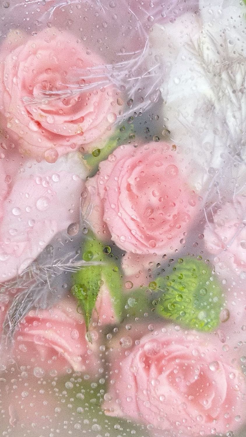 결제창입니다 :) 상품이미지1