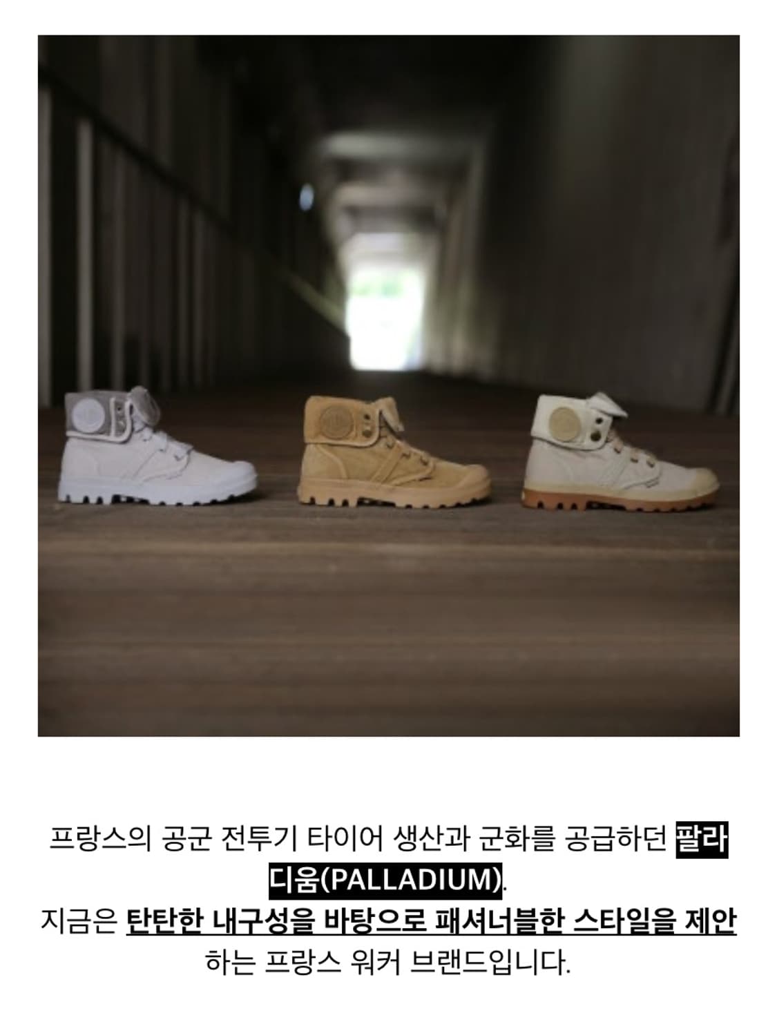 팔라디움 팜파하이 사막화 판매 합니다 상품이미지2