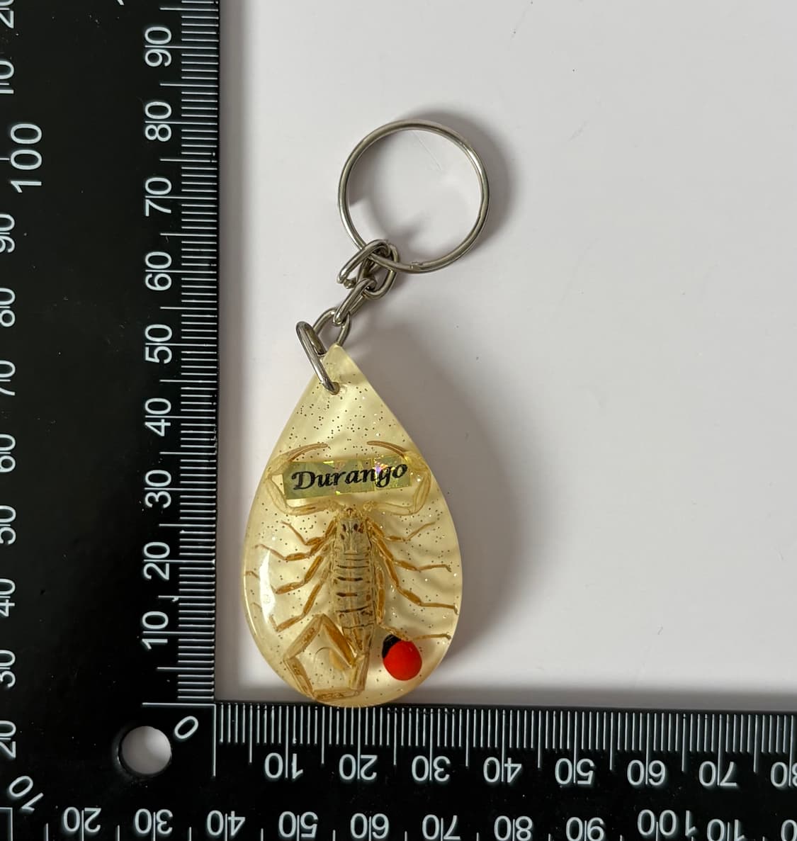 전갈 아크릴키링 상품이미지2