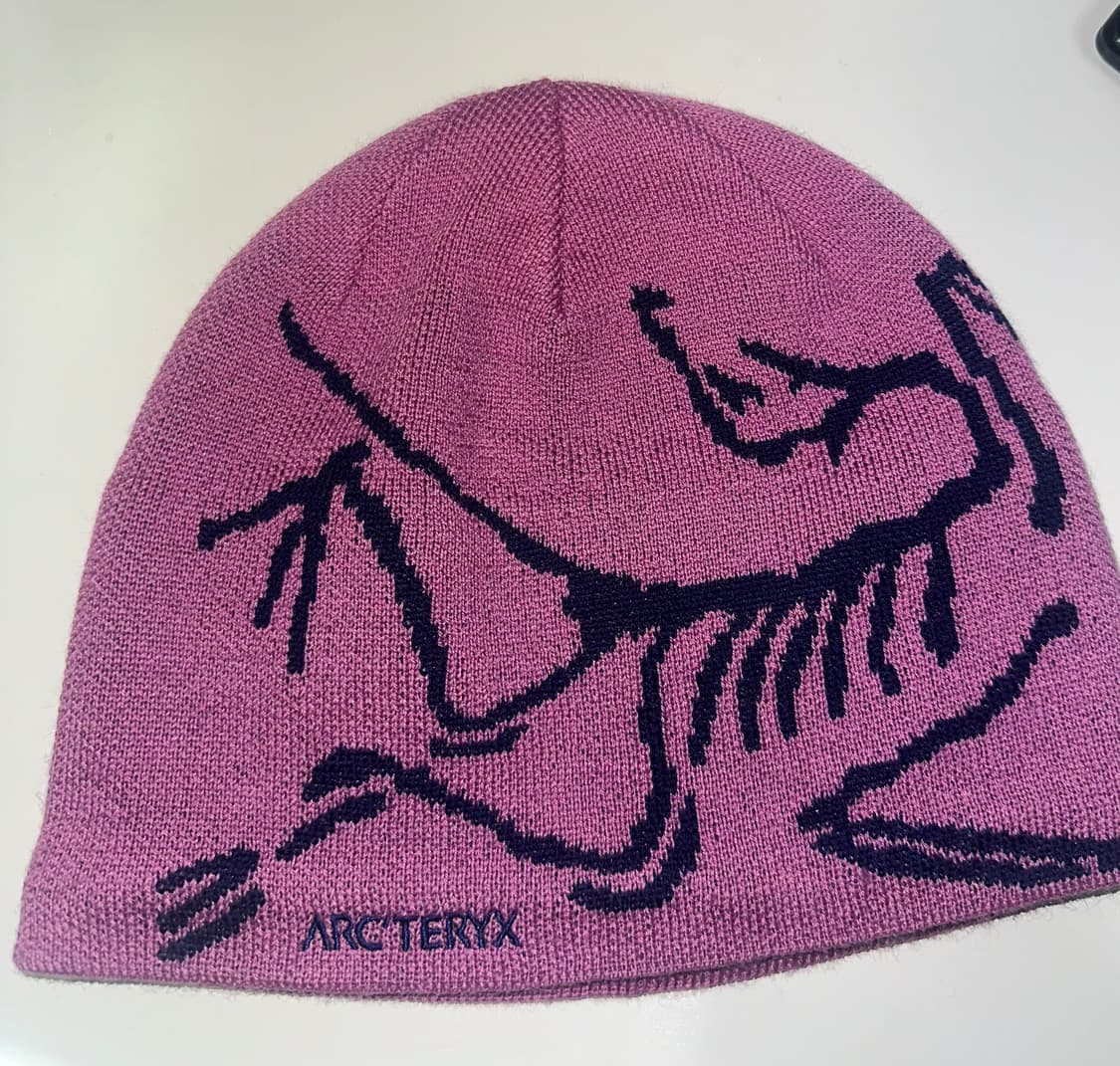 아크테릭스 버드 헤드 핑크 비니 상품이미지2