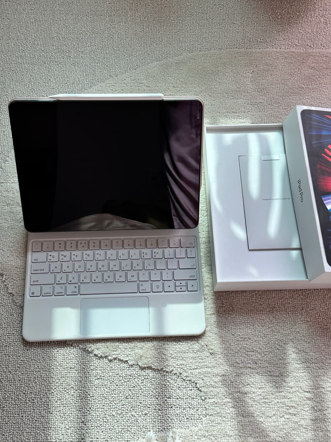 아이패드 프로 5세대 12.9 256기가 풀박 + 아이펜슬 상품이미지7