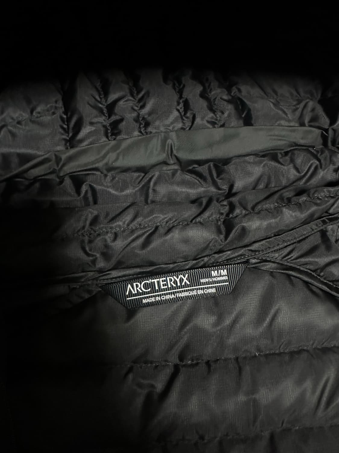 (M) 아크테릭스 세륨 하이브리드 상품이미지4