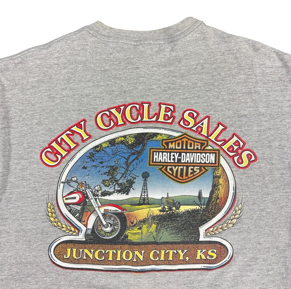 빈티지 2005 Harley Davidson 할리데이비슨 플레임 티셔츠 상품이미지4
