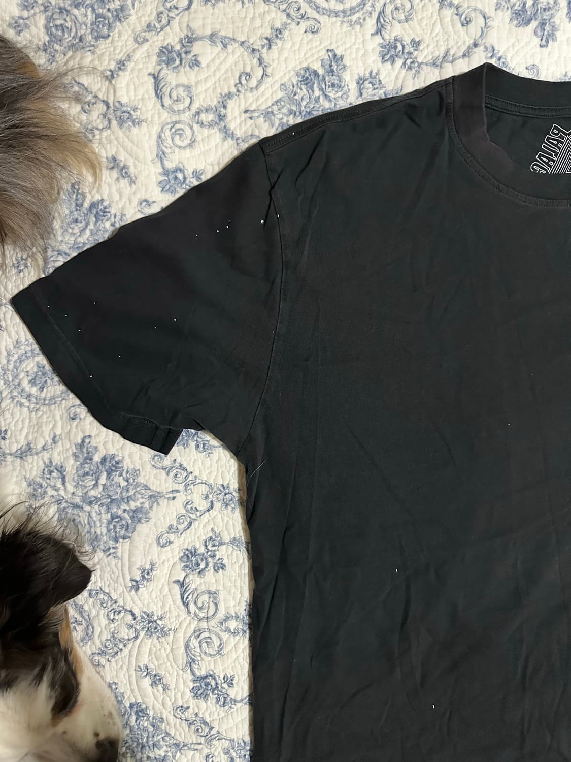 팔라스 조디악 티셔츠 XL 상품이미지3