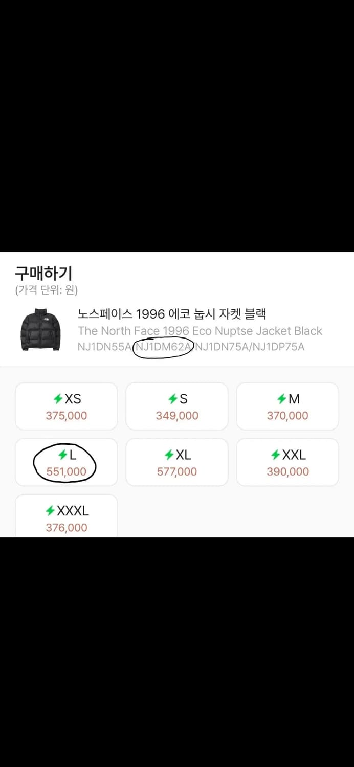 노스페이스 에코 눕시 L 상품이미지8