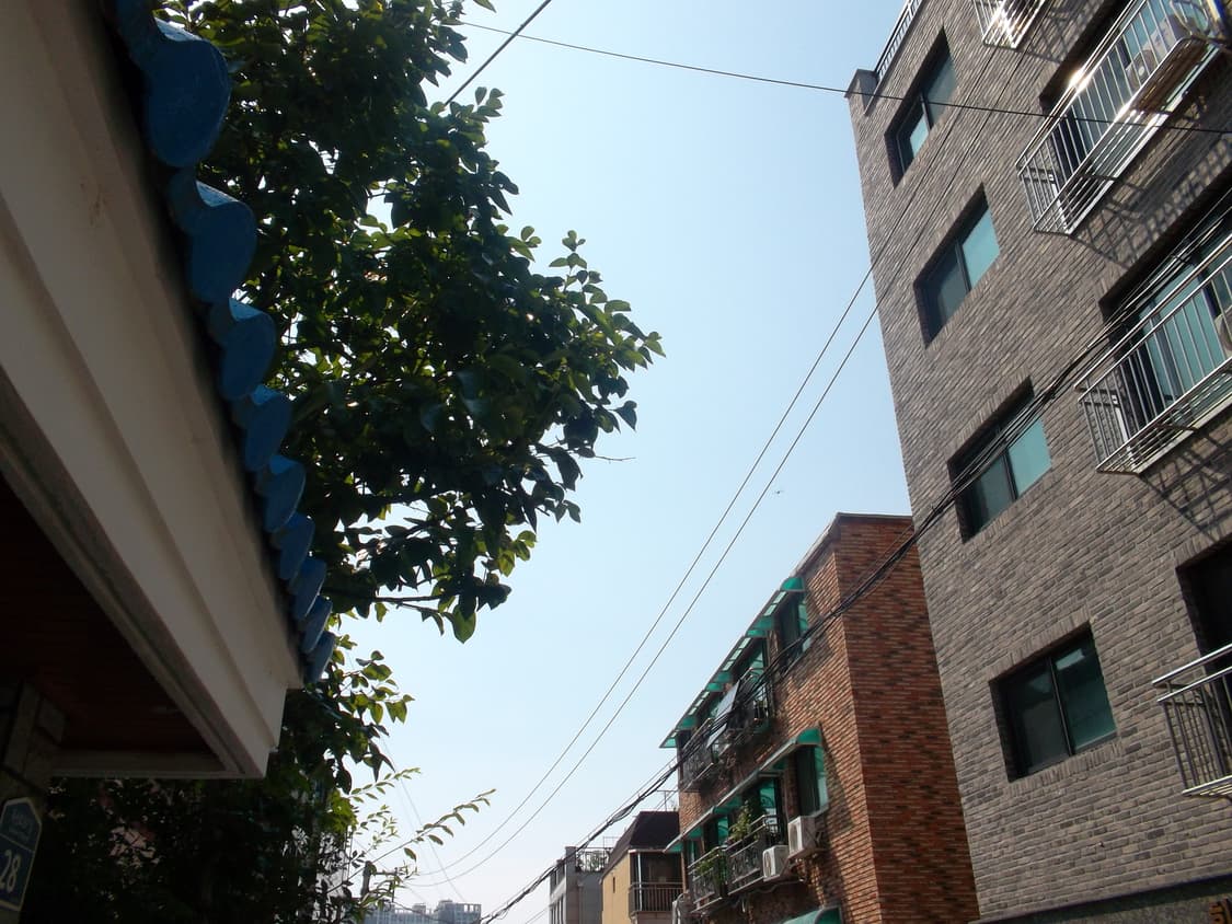 삼성 vluu st65 디카 (빈티지 카메라) 상품이미지8