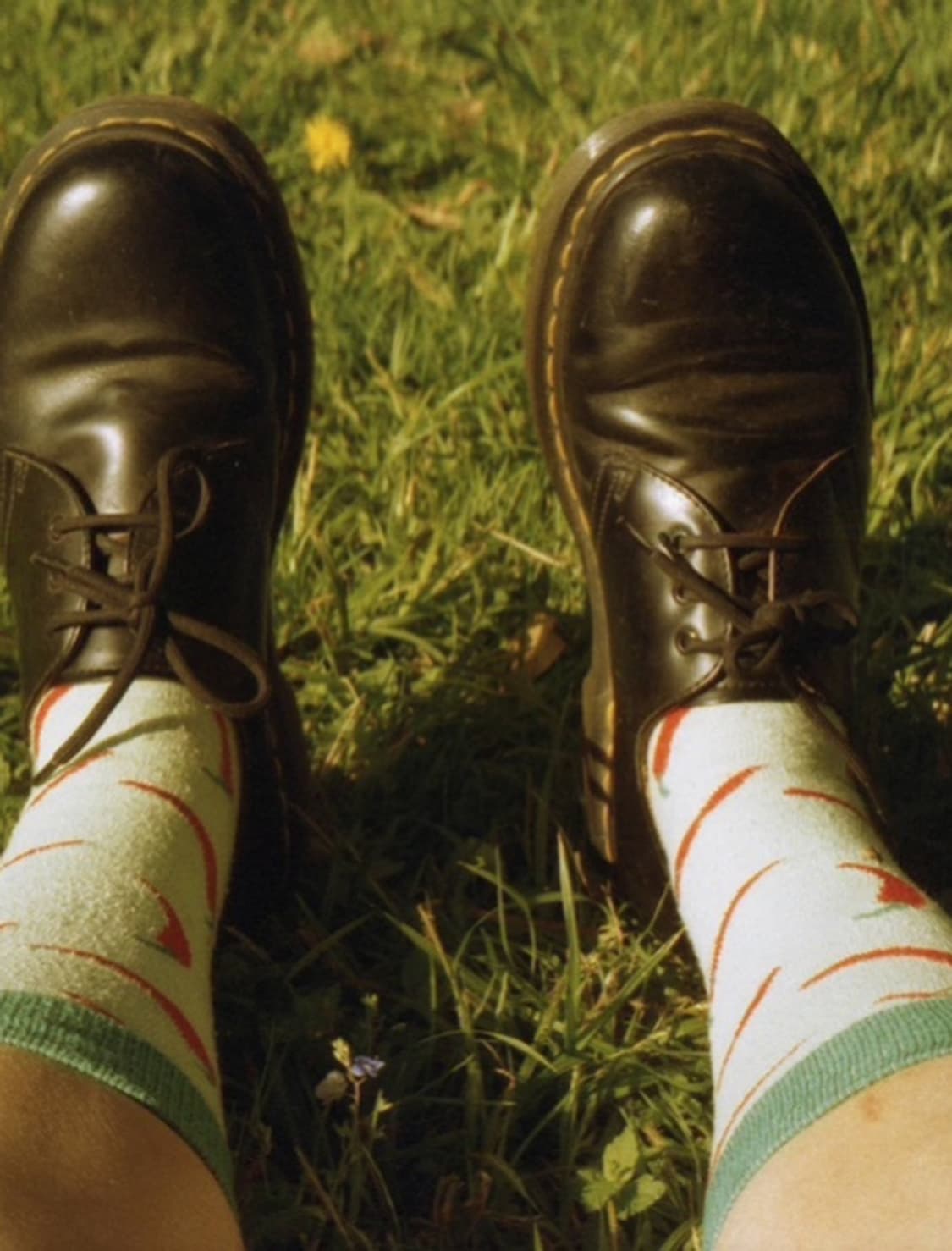 라이카 Z2X 박스세트 상품이미지7