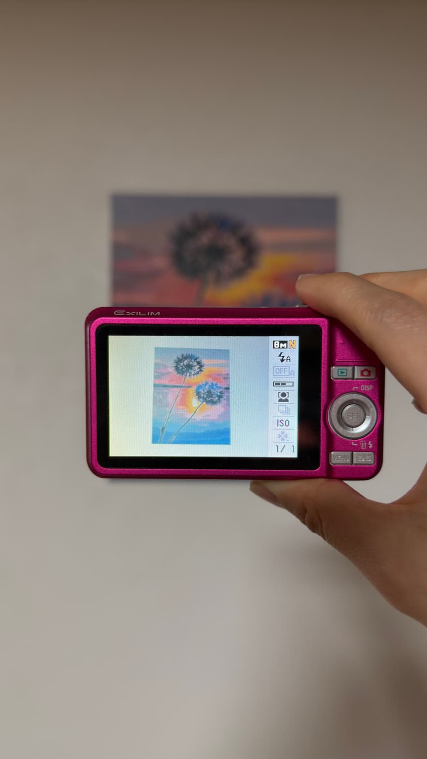 카시오 엑슬림 ex-z80 선미 카리나 토모토모 디카 상품이미지7