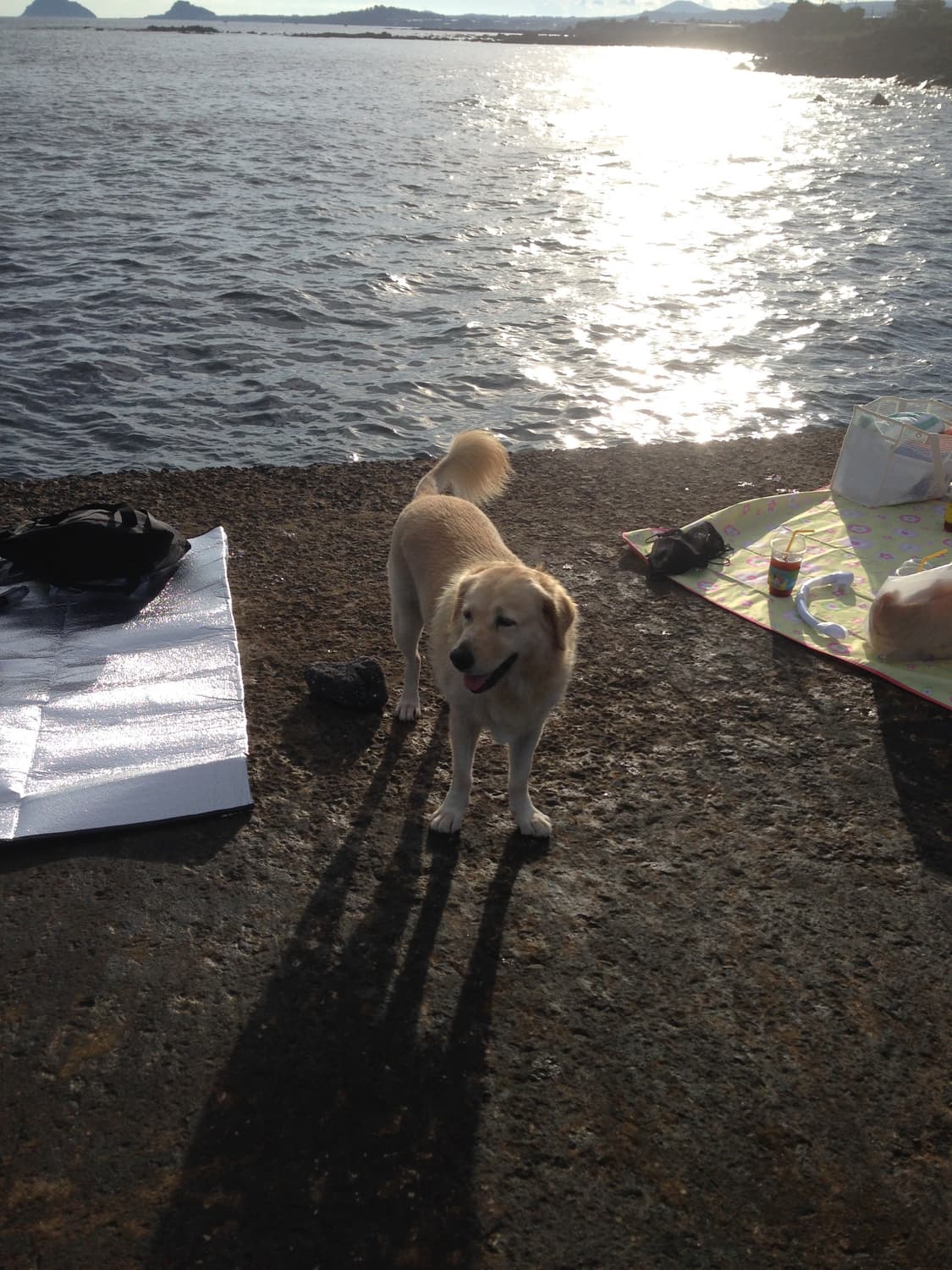 Apple 아이폰 5s 실버 상품이미지6