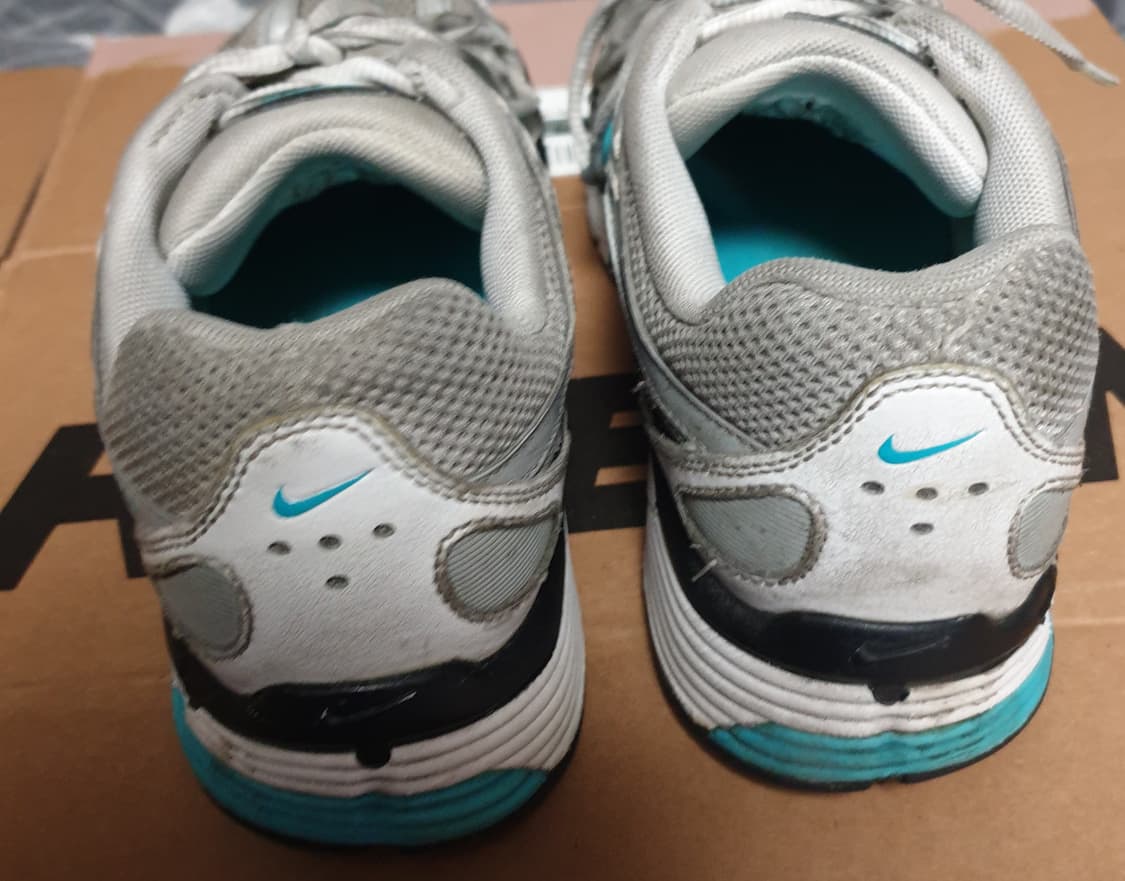 나이키 P-6000 메탈릭실버 더스티 캑터스 (250)CD6404-103 상품이미지4