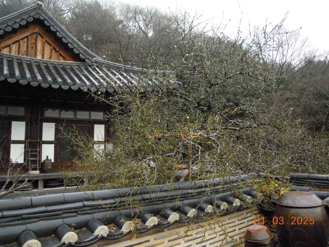 (작례O) 니콘 쿨픽스 S640 디지털 카메라 디카 상품이미지8