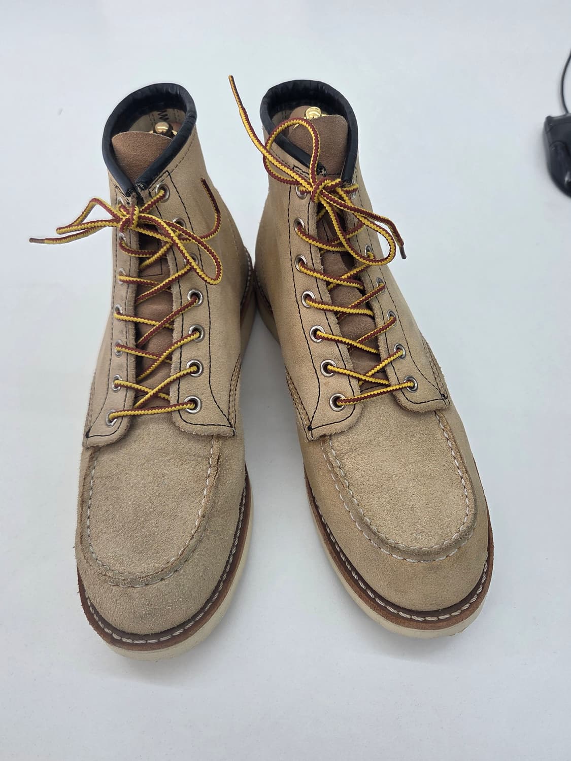 레드윙 8173 9d 270사이즈 상품이미지1