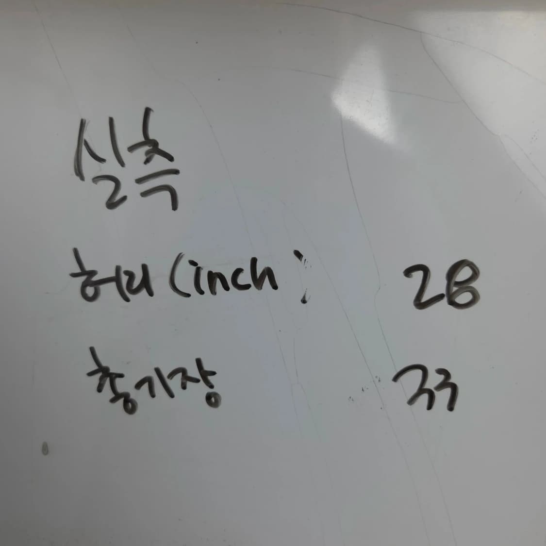 여28 내셔널지오그래픽 밴딩 반바지 쇼츠 핑크 상품이미지7